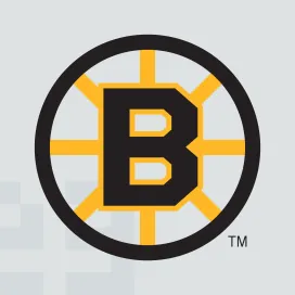 Boston bruins 5
